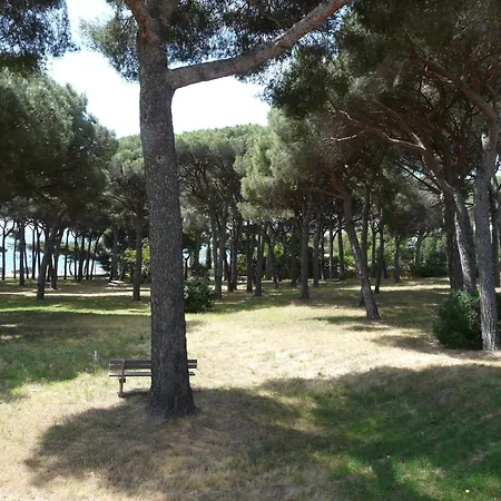 La Casa Mia